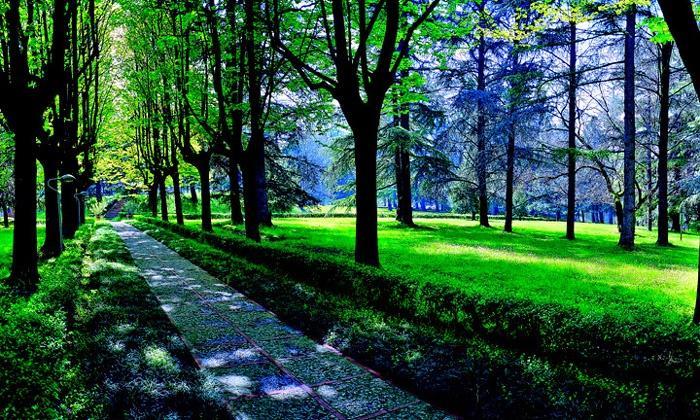 Hotel Terme Monticelli Terme Exteriér fotografie