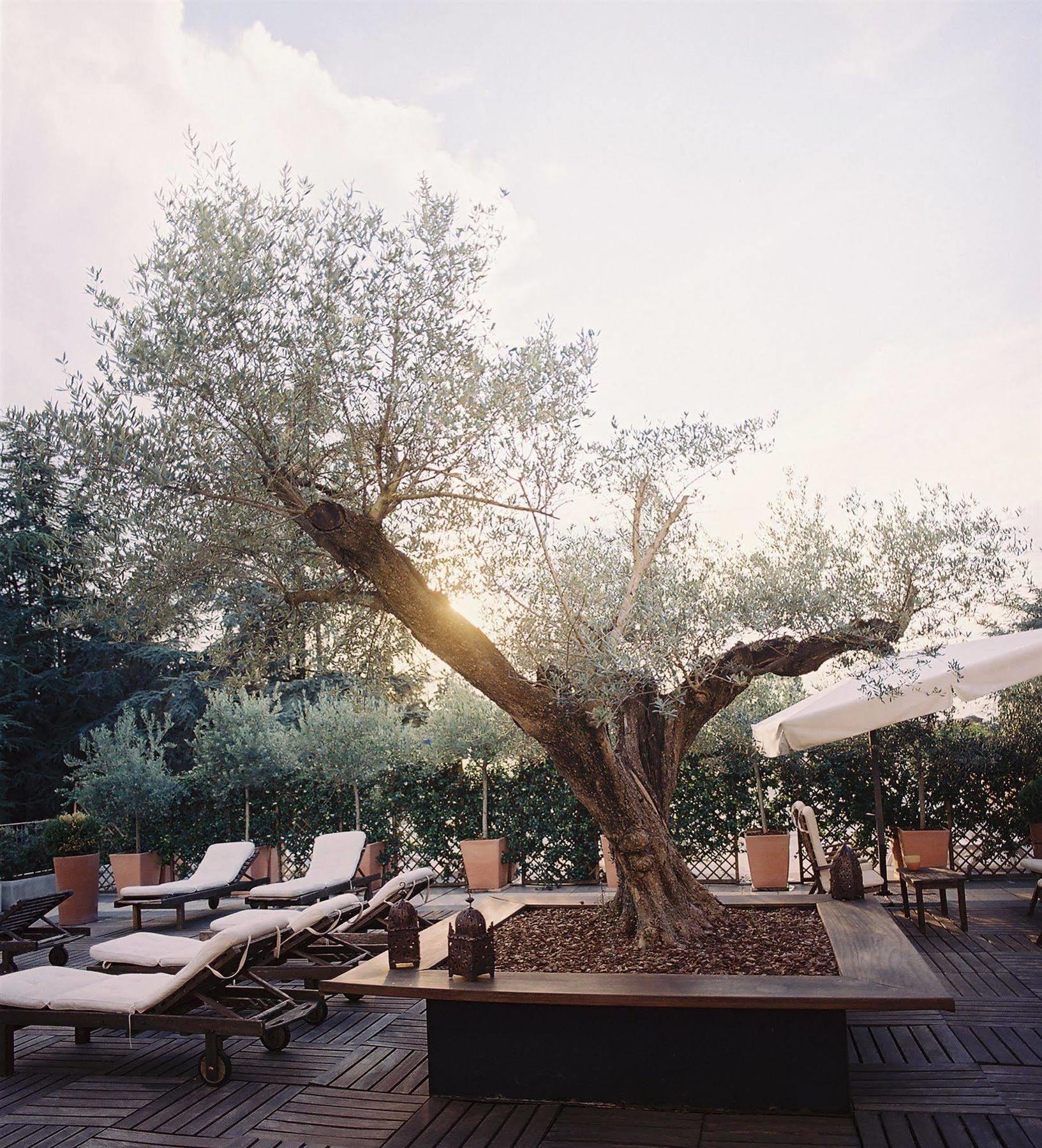 Hotel Terme Monticelli Terme Exteriér fotografie